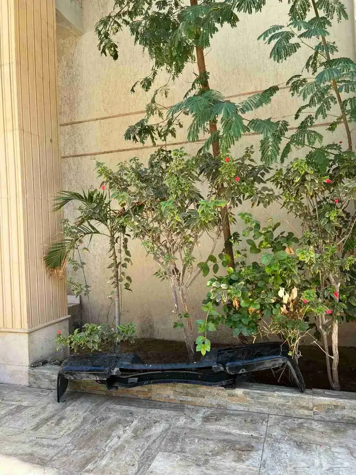 معلم قص شجر ونخل بجده 2