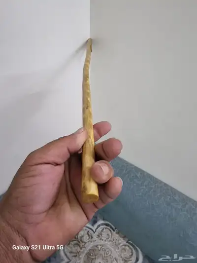 مشعاب شوحط ( تم البيع ) 6