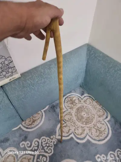 مشعاب شوحط ( تم البيع ) 13