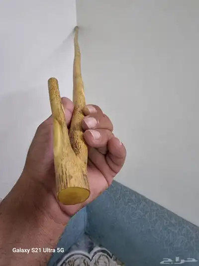 مشعاب شوحط ( تم البيع ) 2