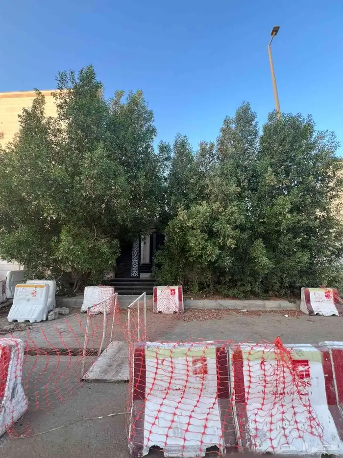 معلم قص شجر ونخل بجده 1