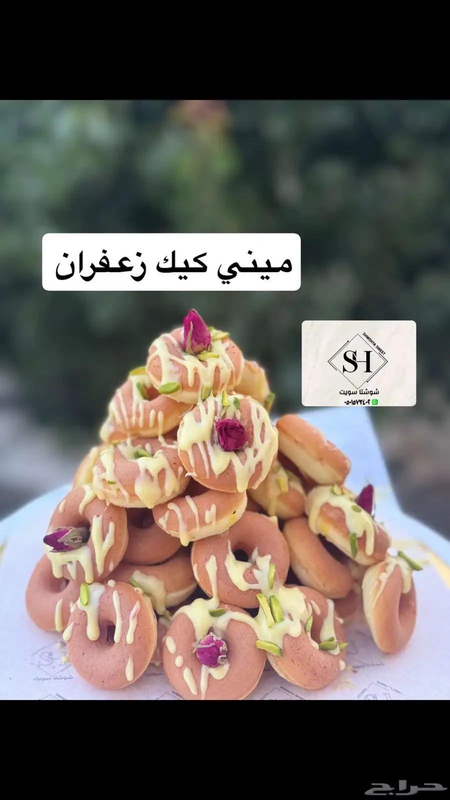 شوشتا سويت 3