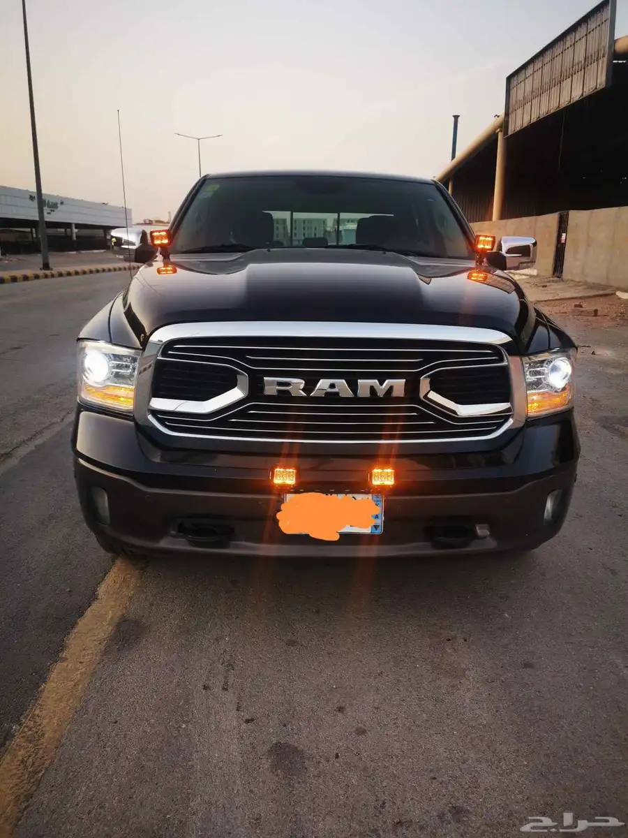 رام لونج هورن 2018 3