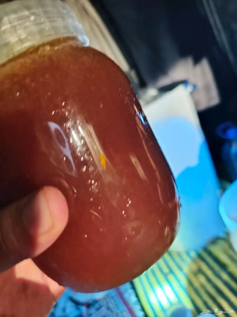 عسل شجره الطلح 1