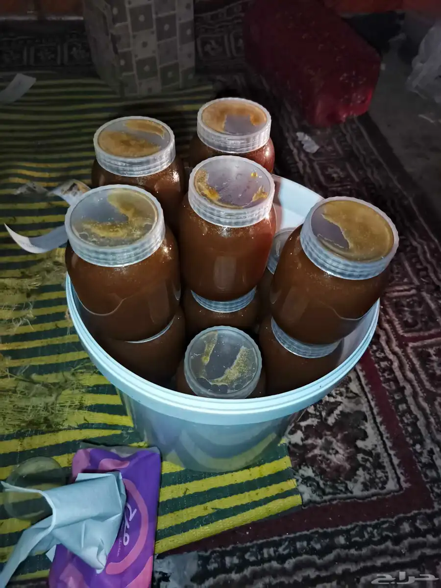 عسل شجره الطلح 3