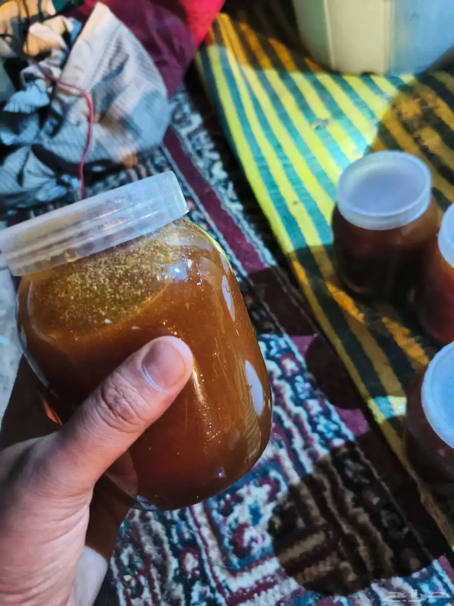 عسل شجره الطلح 0