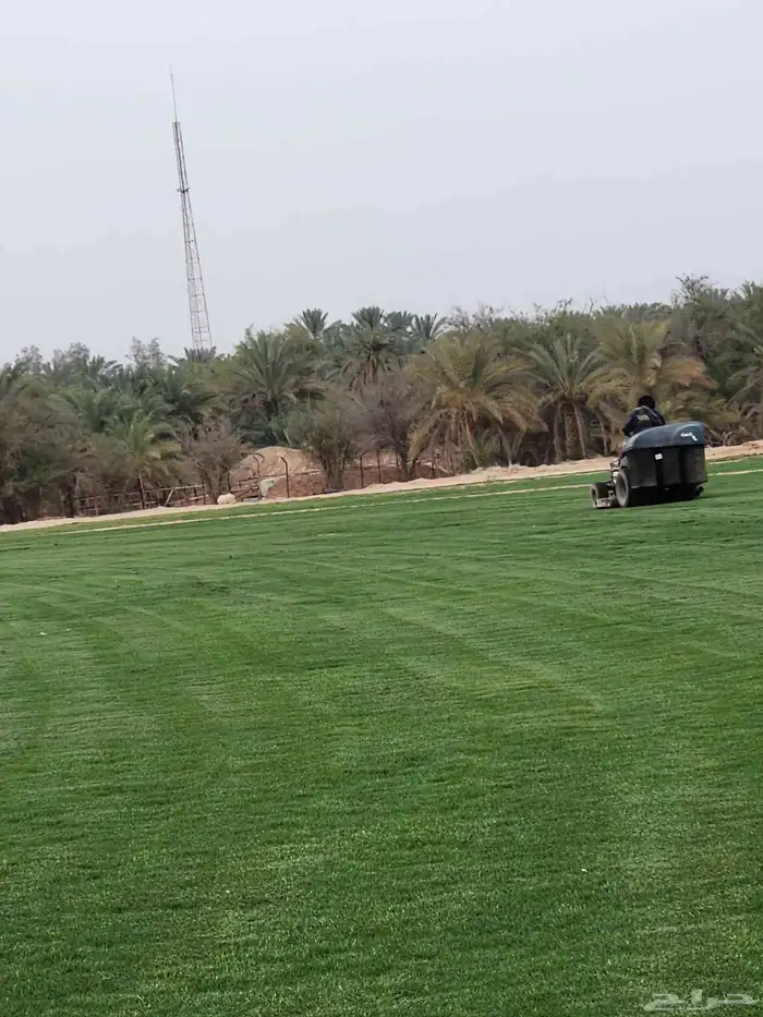 ثيل طبيعي سي2000 صافي درجه أولى 0