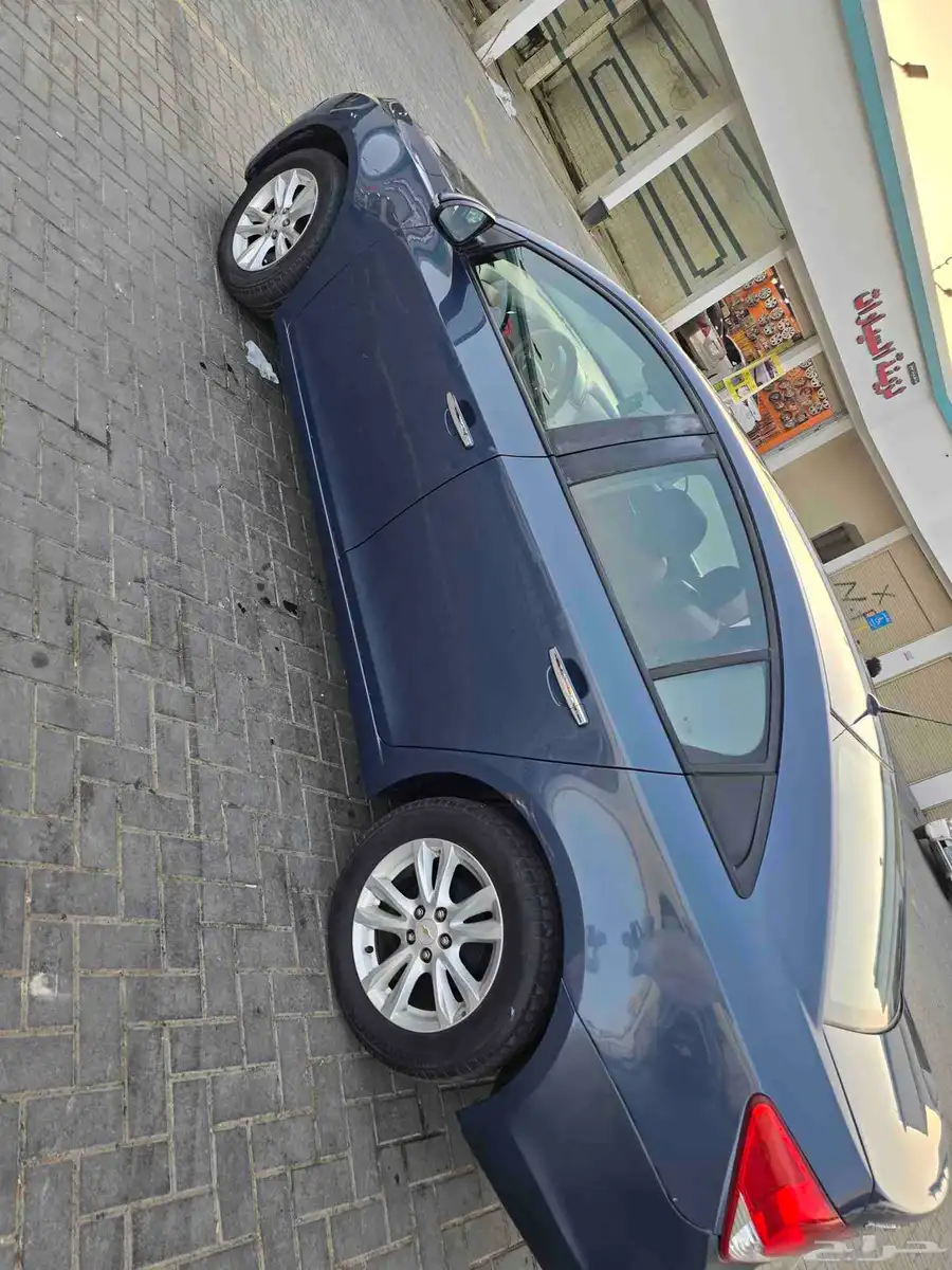 شفر كروز 2014 فل الفل اللهم بارك 3