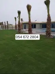 يوجد تيل طبيعي سعر المتر 10ريال يوجد صيانة منزلية 3