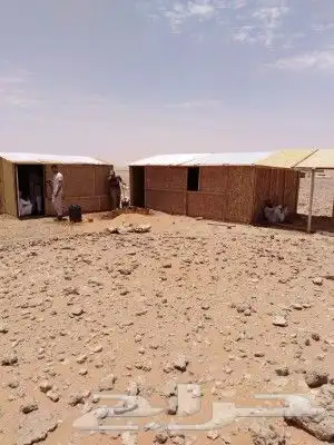 غرف خشب صنادق خشب 1