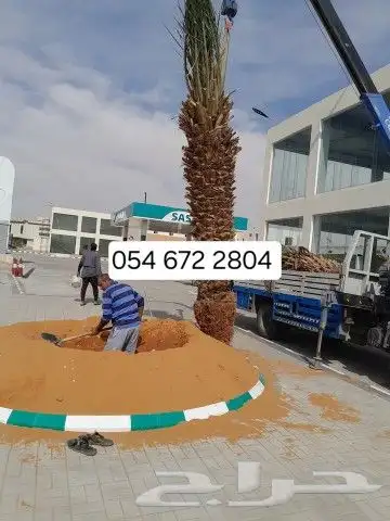 يوجد تيل طبيعي سعر المتر 10ريال يوجد صيانة منزلية 2