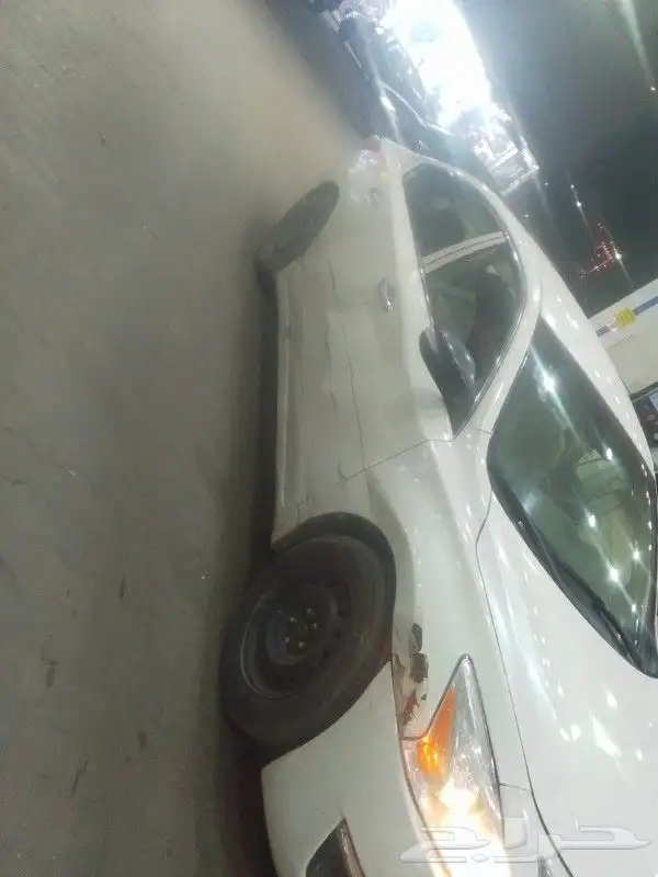 التيماء 2013 3