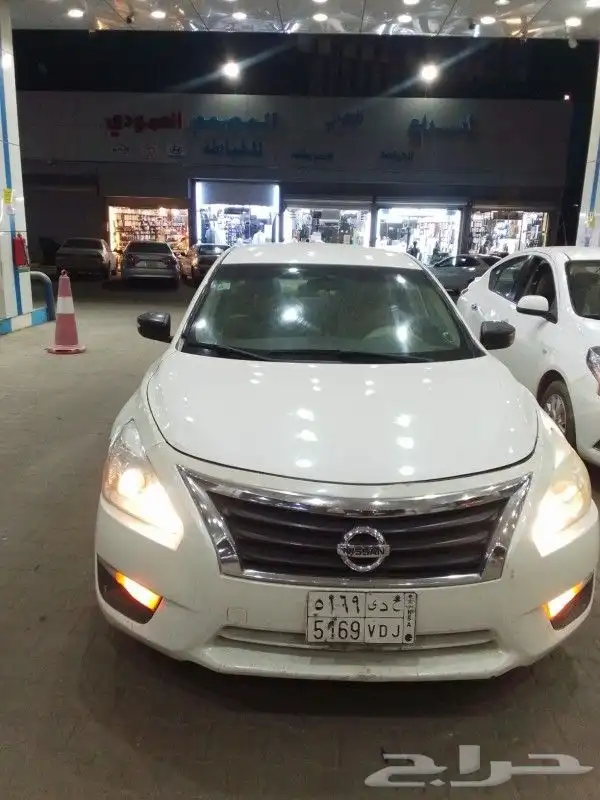 التيماء 2013 1