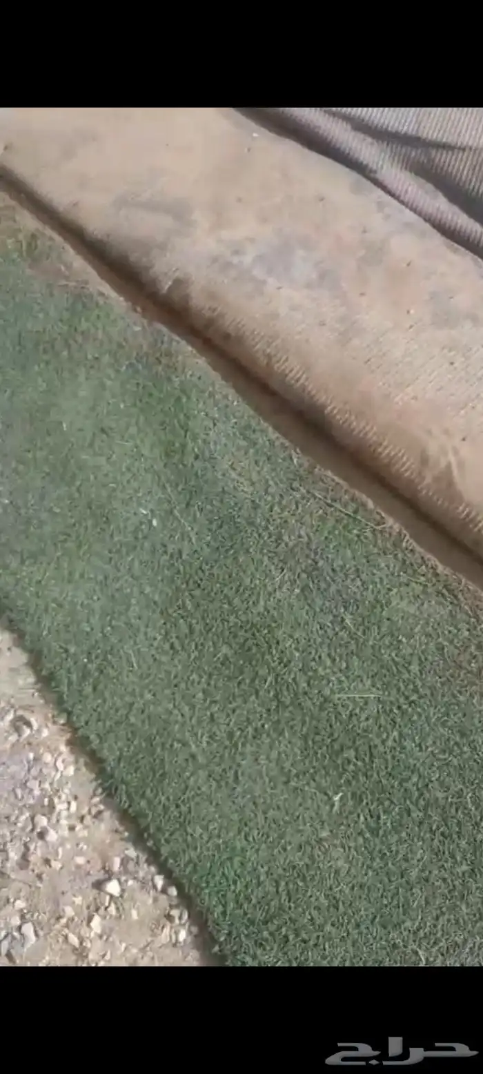نجيله صناعي 5 قطع الباحة الرهوة 1