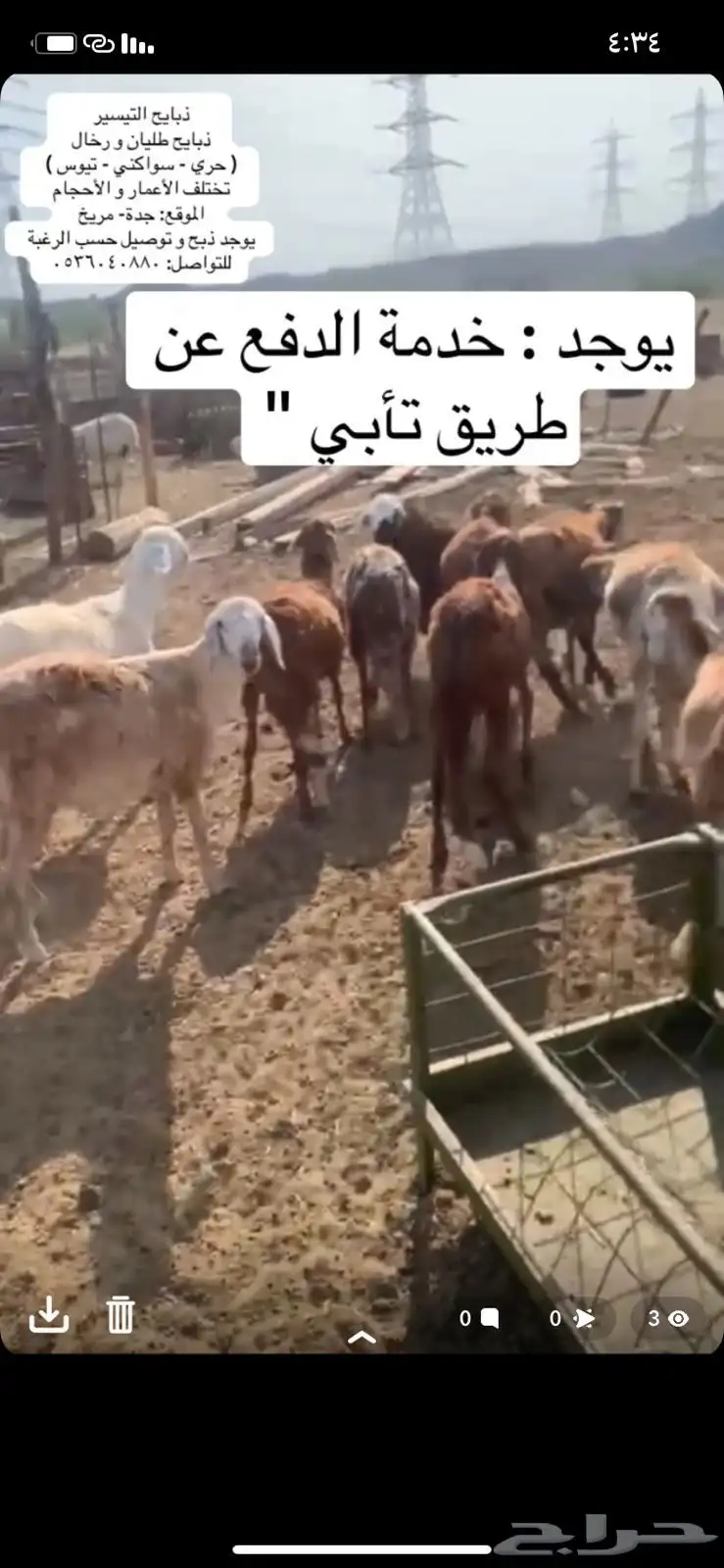 طليان حريه 0