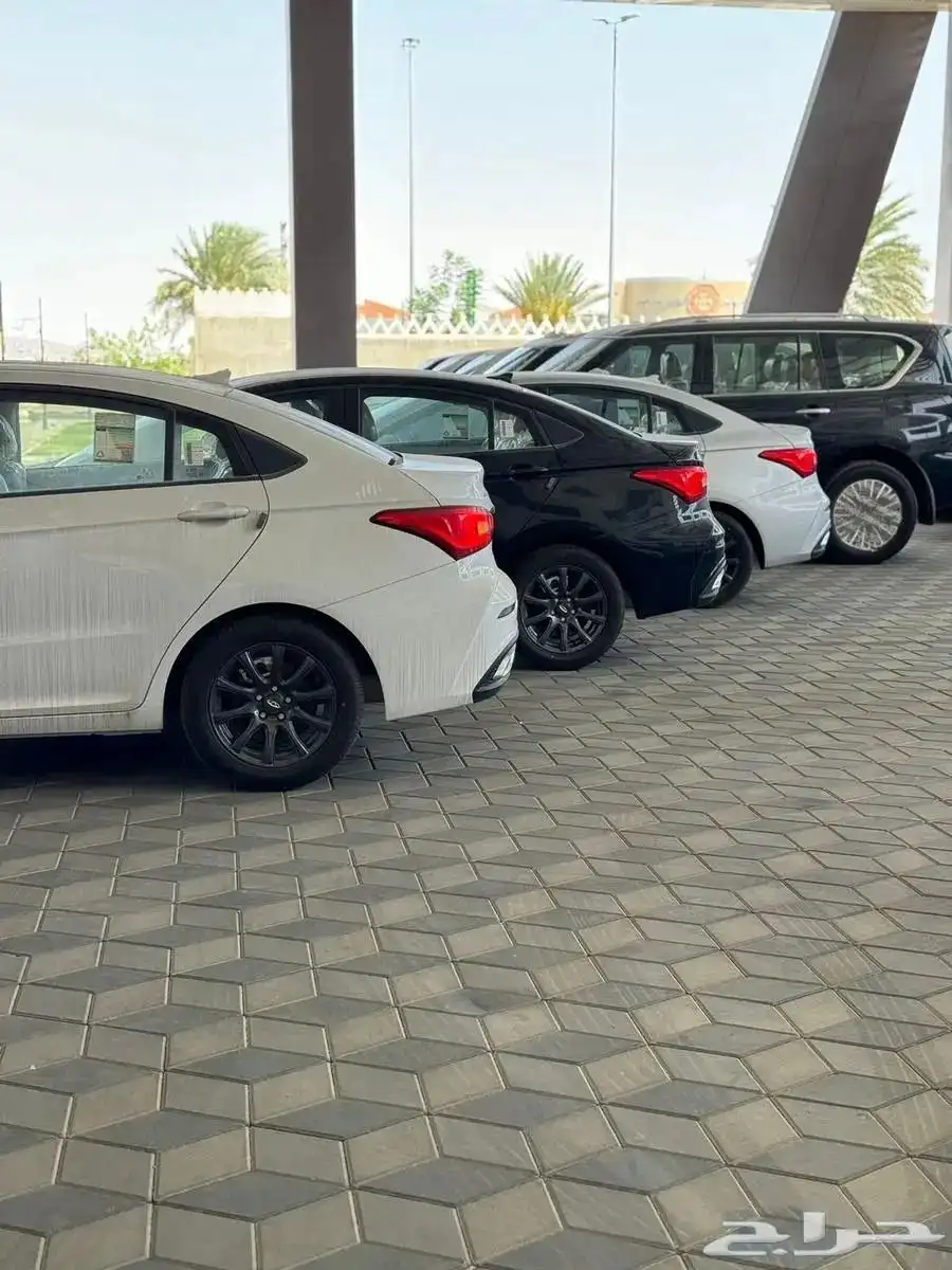 شيري اريزو 5 8