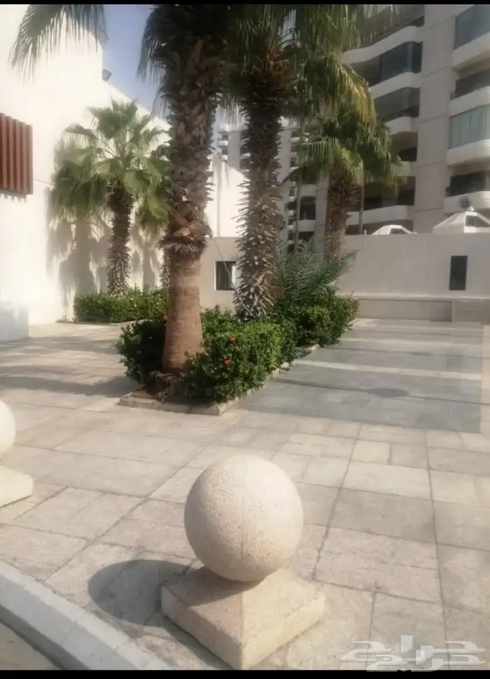 معلم قص شجر ونخل بجده 3