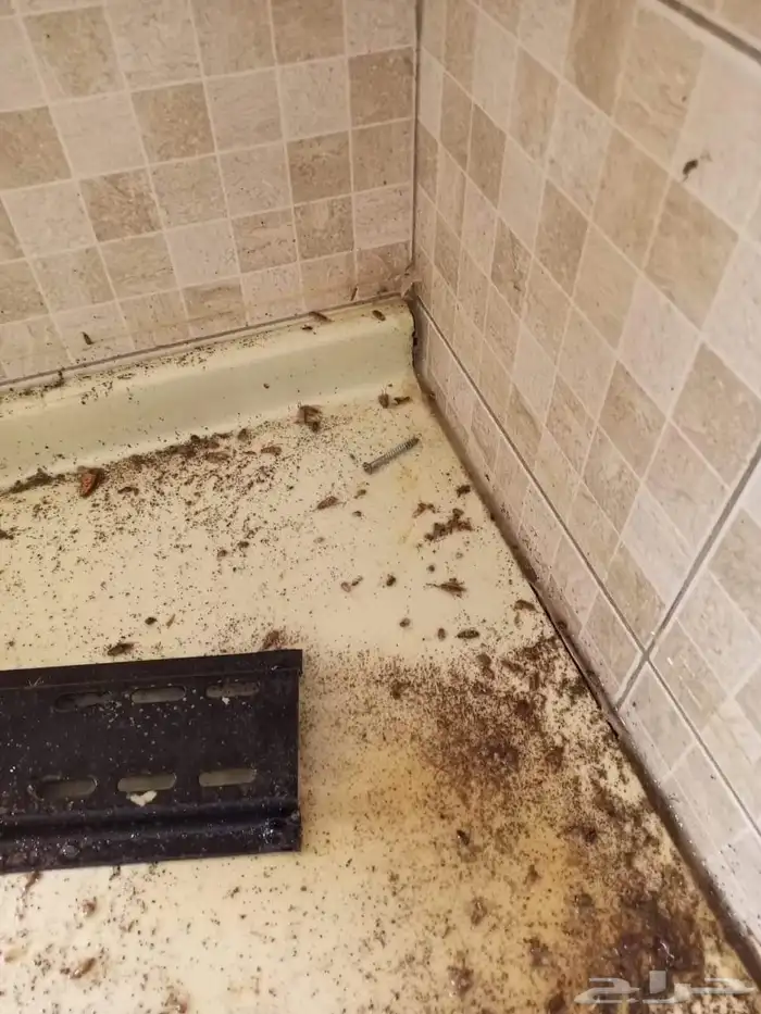 شركه مكافحة الحشرات عقد حشرات مطعم محلات كافتيريات 6