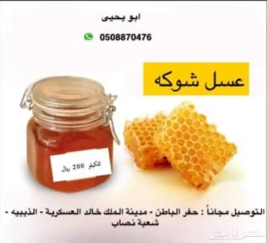 شعبة نصاب 1