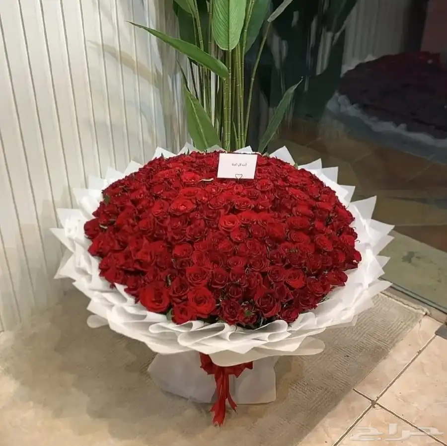متجر هدايا ورد خميس مشيط ابهاء احد رفيده الواديين وادي بن هش 9