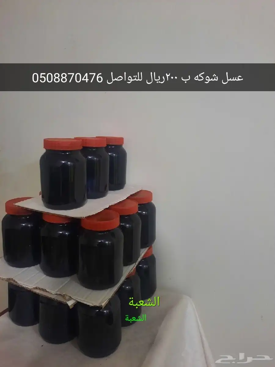 شعبة نصاب 0