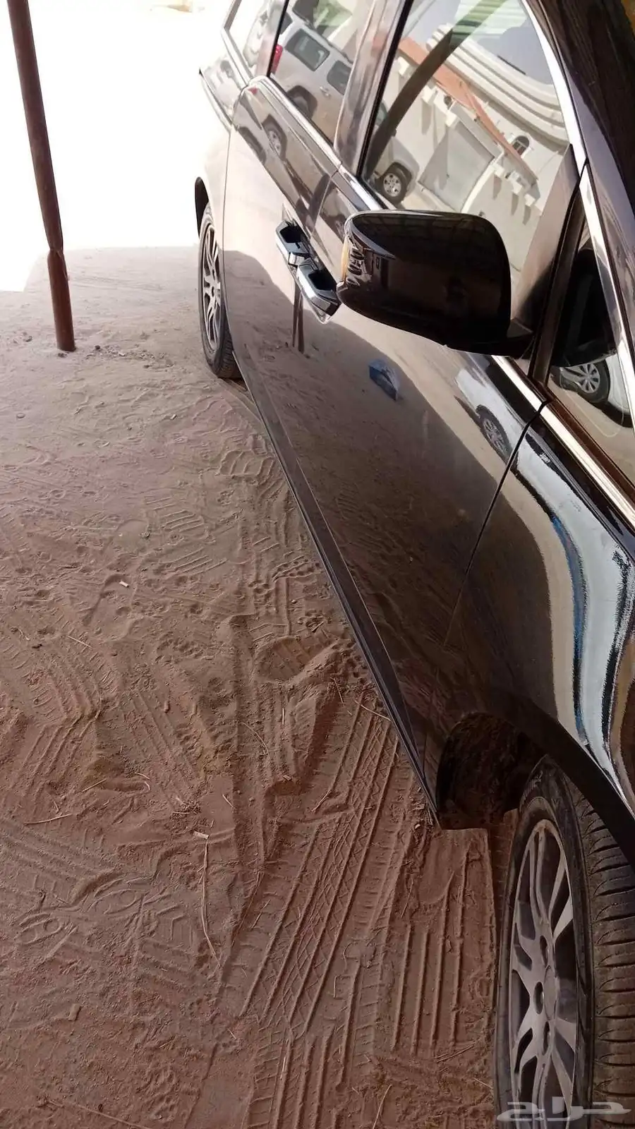 اوديسي2013 1