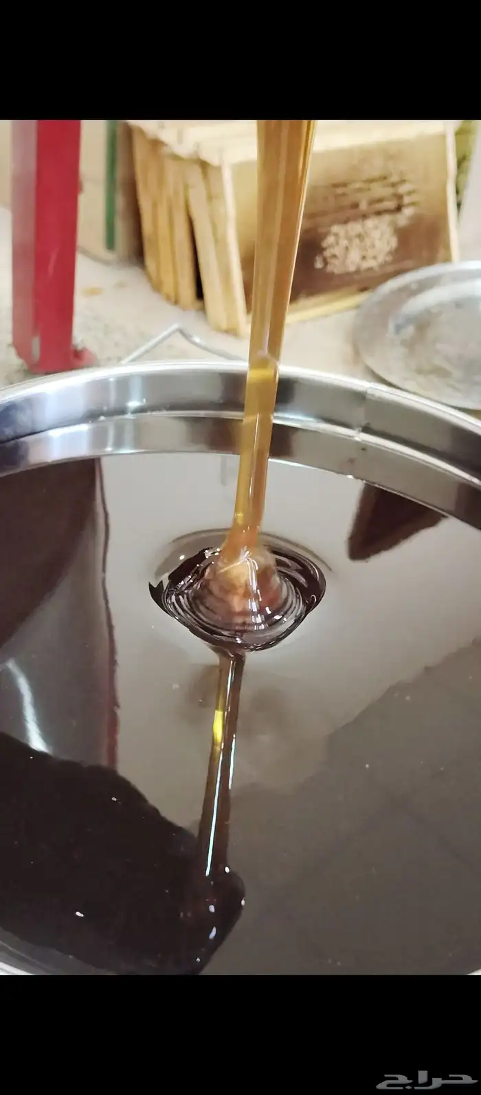 عسل طلح وسدر بري انتاج مناحلنا 1447 0