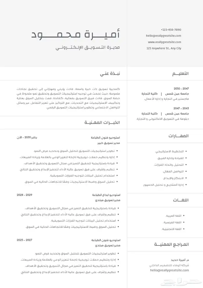 تصميم سيرة ذاتية احدث تصاميم بدون اخطاء واقل سعر 2