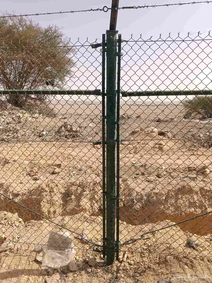 تنفيذ الشبوك وزراعة النخيل وتركيب الحجر 2
