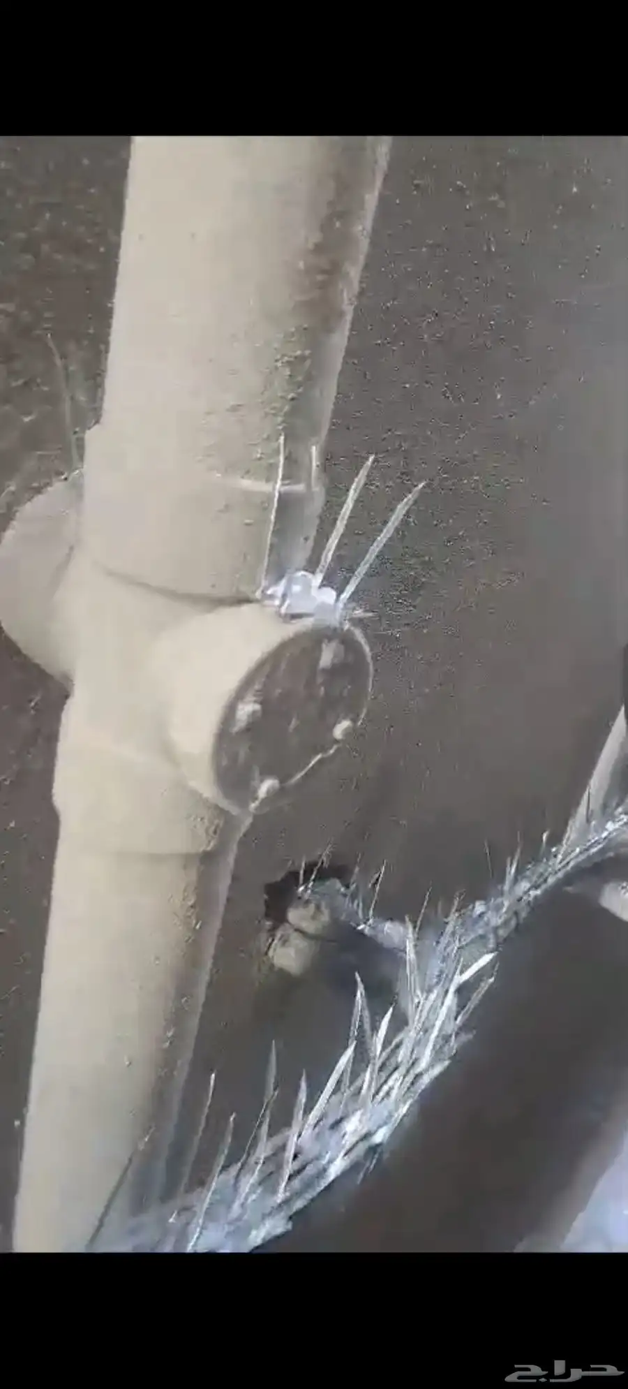 شركه تركيب طارد حمام واشواك بمكه ونظافة بمكه 2