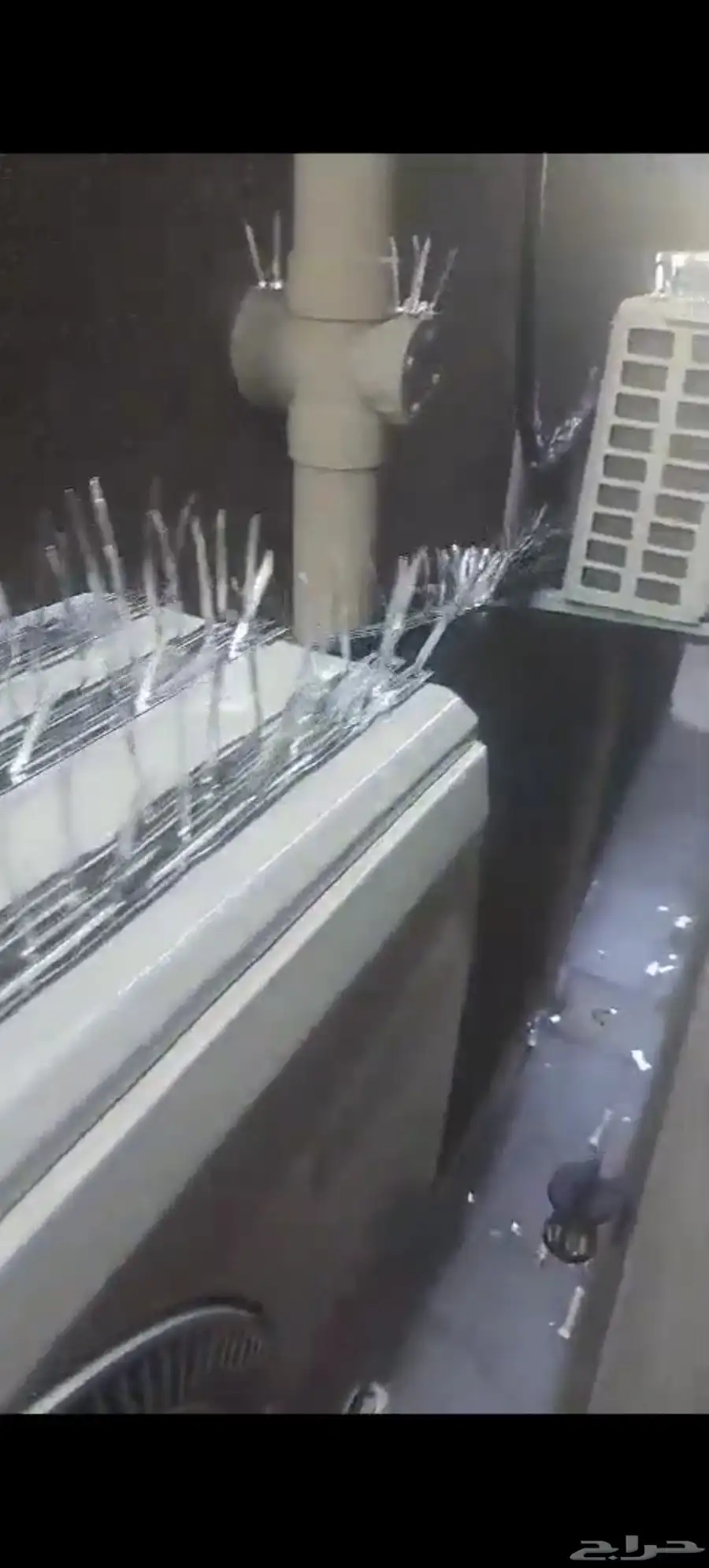 شركه تركيب طارد حمام واشواك بمكه ونظافة بمكه 5