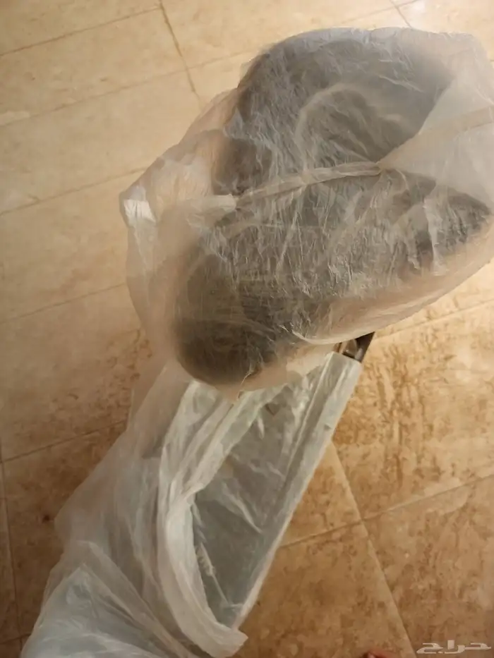 سكوتر ما فيه ولا اي شيء خربان بس ناقصه شاحن والاستيك خلفي 2