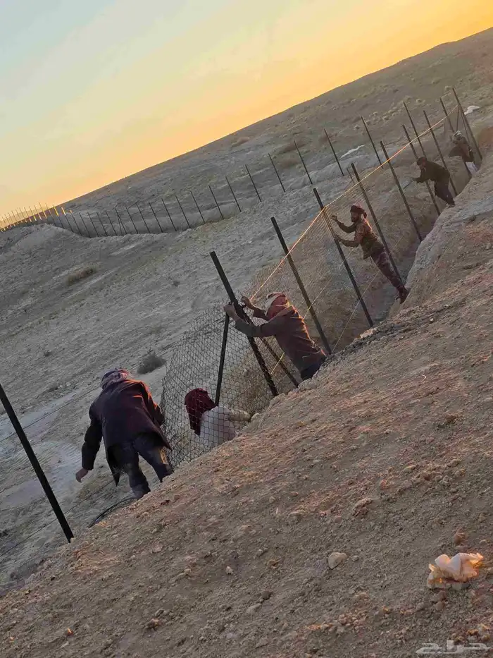 تنفيذ الشبوك وزراعة النخيل وتركيب الحجر 7