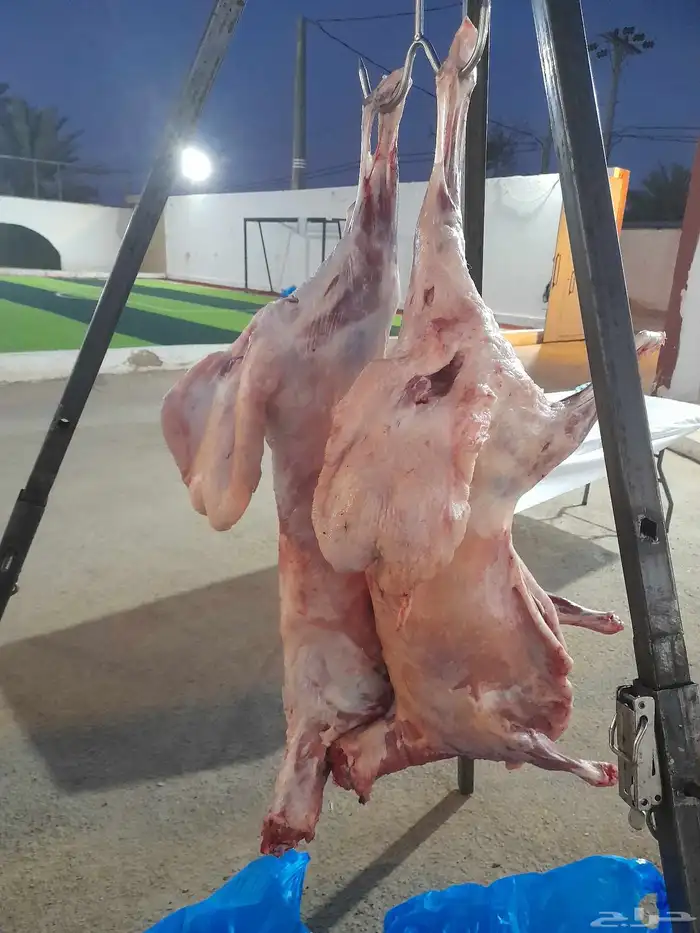 مشويات عراقيه في الرياض 6