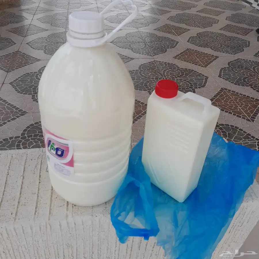سمن و زبد بقر بلدي مشروط 7