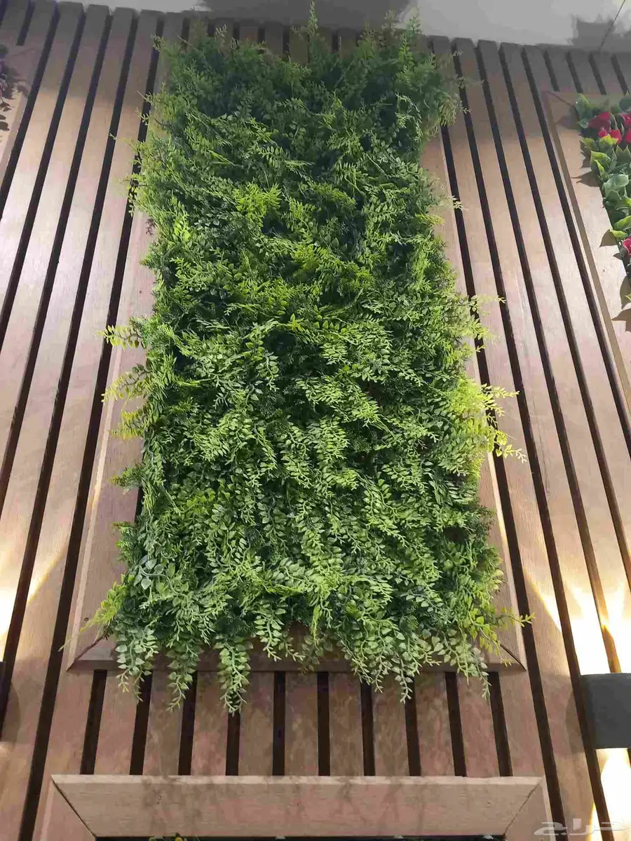 عشب صناعى جمله 0