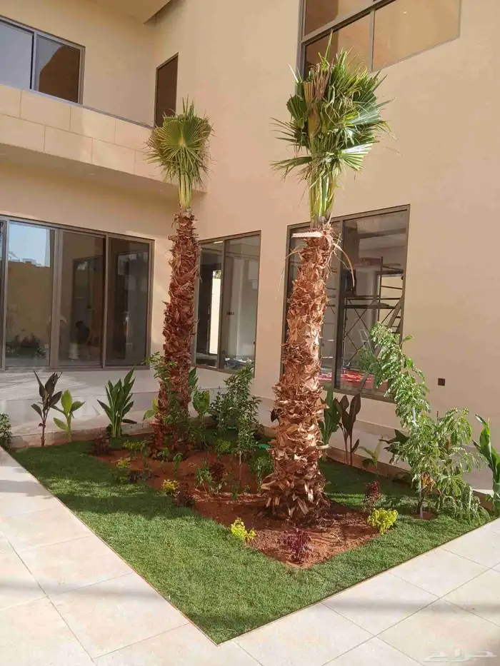 مشتل الرياض 4