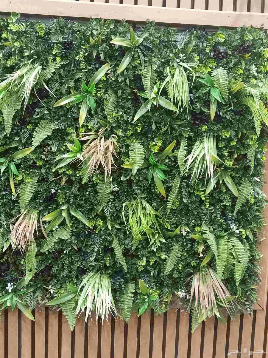 عشب صناعى جمله 5