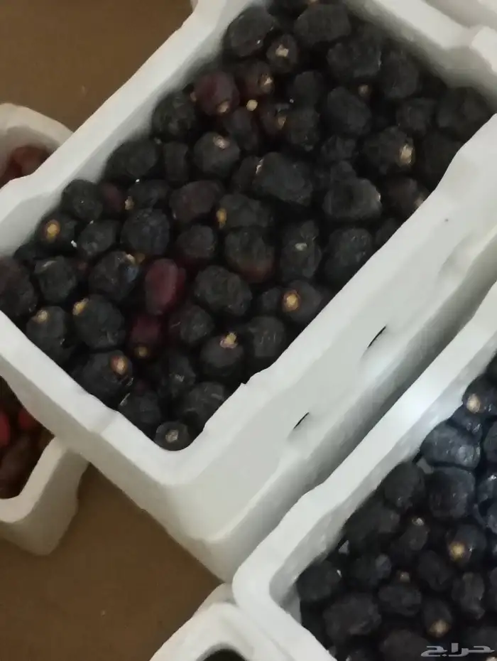 رطب عجوة 0