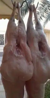 مشويات عراقيه في الرياض 9