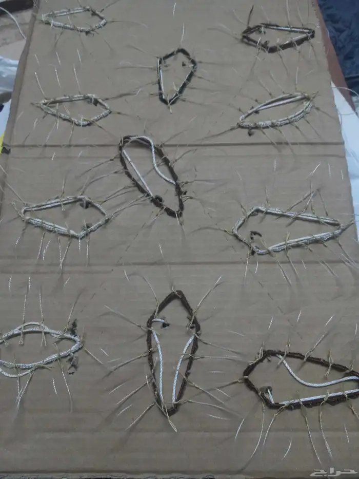 شبك لطرح الصقور 5