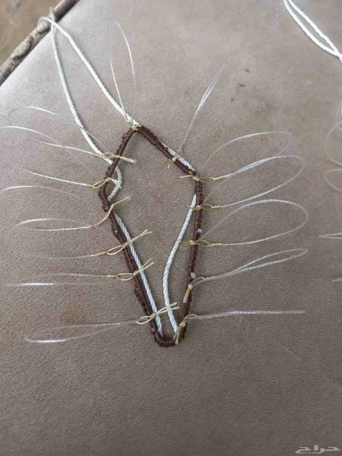 شبك لطرح الصقور 3