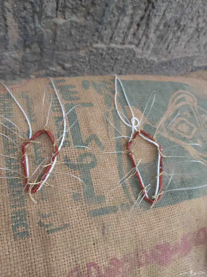 شبك لطرح الصقور 2