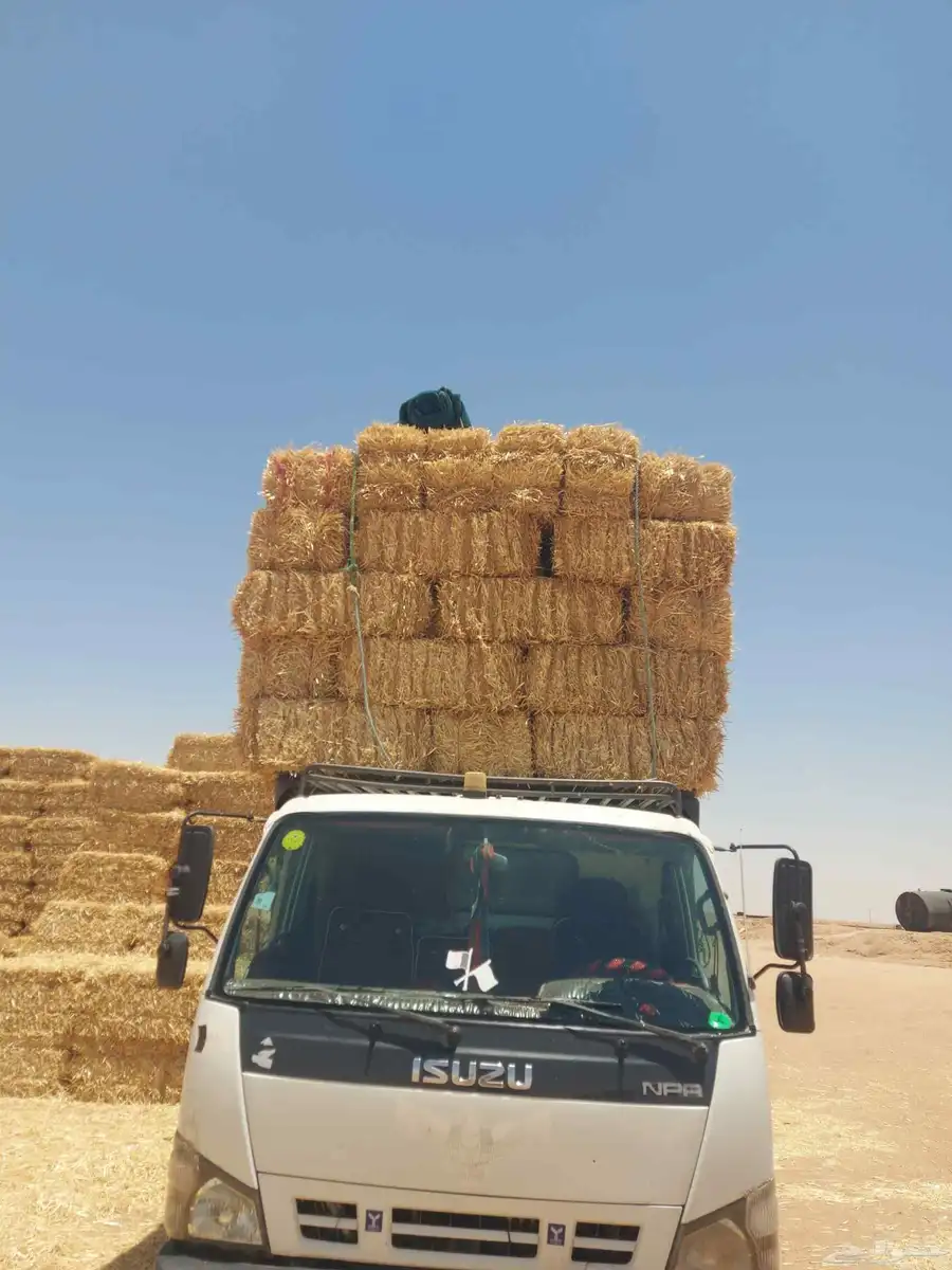 موجودتيبن شدممتاز 1