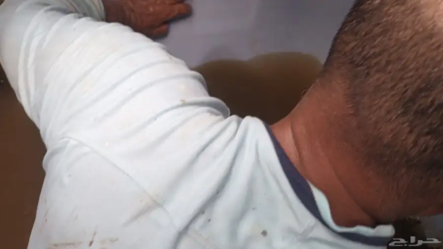 شركة نظافة عامه 1