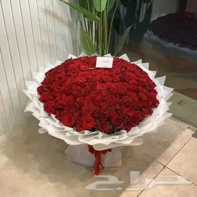 مندوب هدايا ورد خميس مشيط ابها 7
