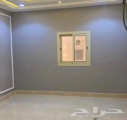 اصباغ الأحساء 3