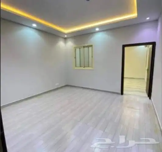 اصباغ الأحساء 6