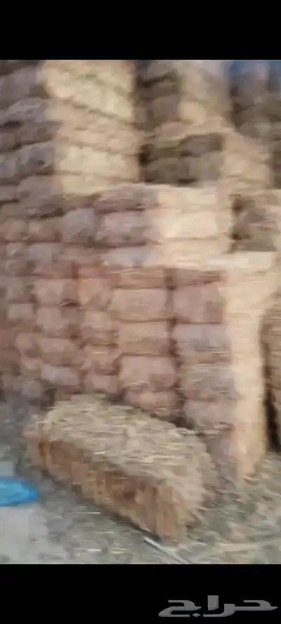 تبن بر معه خلط بارسيم بسيط 4