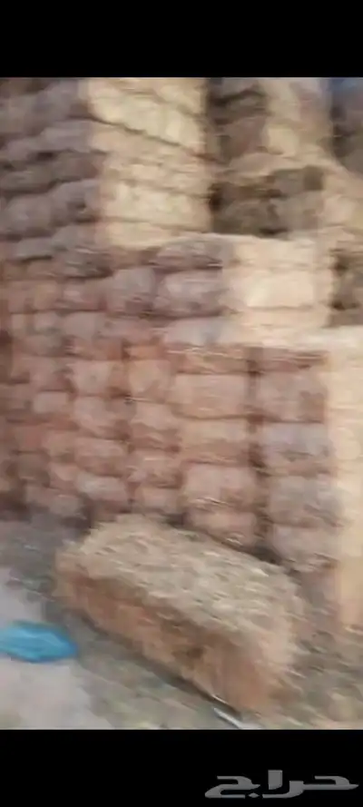 تبن بر معه خلط بارسيم بسيط 2